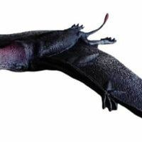 Tucán