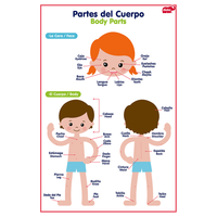 
              Lámina partes del cuerpo/ prendas de vestir
            