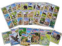 
              Lotería de Animales Salvajes
            