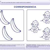 Pensamiento matemático 1