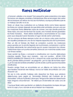 
              Literatura con valores
            