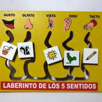 Laberinto de los sentidos