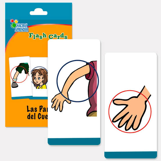 Flash Cards de Partes del Cuerpo