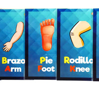Tarjetas de las partes del cuerpo
