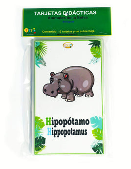 Tarjetas animales de la selva