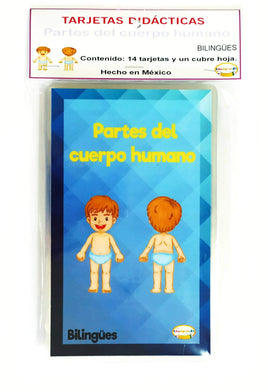Tarjetas de las partes del cuerpo