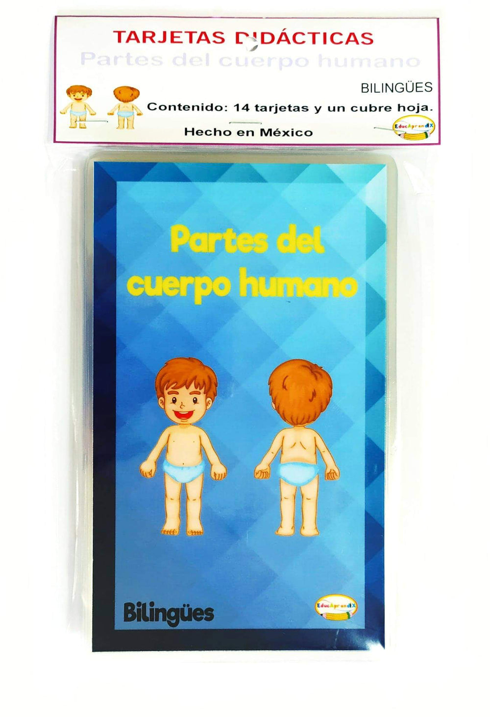 Tarjetas de las partes del cuerpo