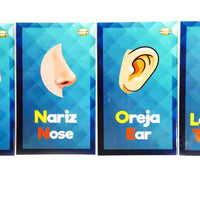 Tarjetas de las partes del cuerpo
